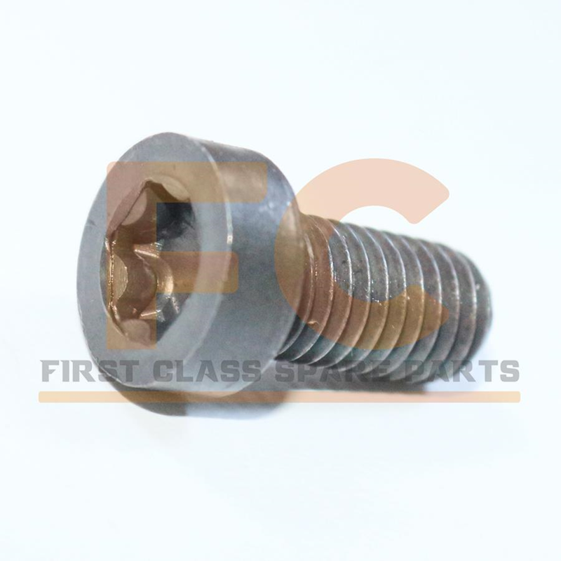 Kaliper Piston Cıvatası (Kısa) 